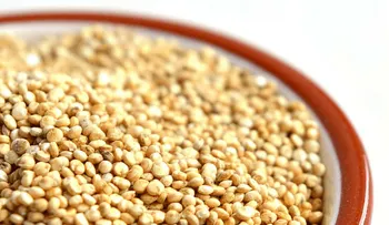 Aprende a cocinar la  quinoa