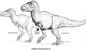Científicos descubren una Tyrannosaurus rex embarazada
