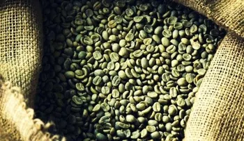 ¿Funciona el café verde para adelgazar?