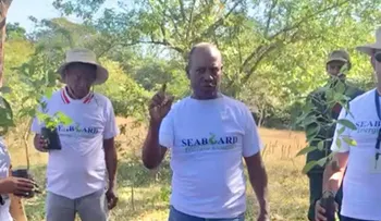 Seaboard realiza primera Jornada de Reforestación del 2024 en los Humedales del Río Ozama 