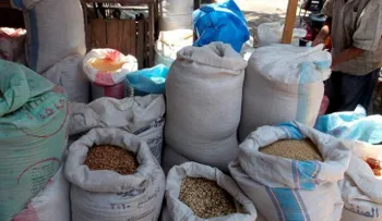 Los cereales integrales reducen el riesgo de padecer enfermedades crónicas