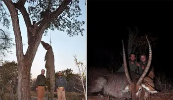 Polémicas imágenes de los hijos de Donald Trump asesinando animales exóticos (Video)