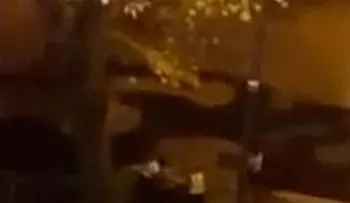 Mira como detiene su rival en pleno juego (Video) 