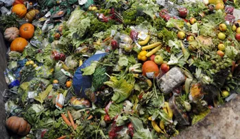 Cambio climático: ¿por qué los líderes mundiales comen 'ensalada de vertedero'?