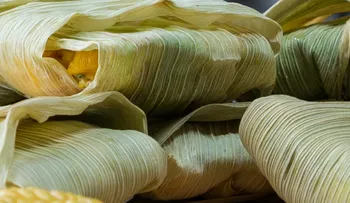 Súper Tamales con Avena