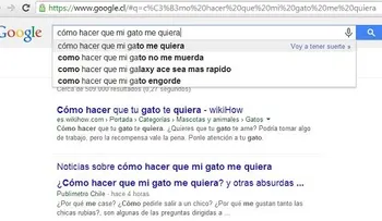 Las búsquedas más absurdas en Google: ¿Cómo hacer que mi gato me quiera? 