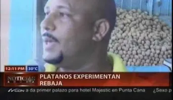 Comerciantes dicen el plátano ha bajado de precio