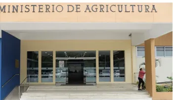 Agricultura impulsa exportación de mangos a EE. UU. y Europa