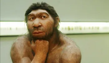 Los humanos podrían haber acabado con los neandertales... por este accidente