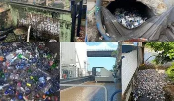 Empresa Seaboard recoge 900 kilos de basura al mes