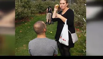No creyó que le pedían matrimonio y reaccionó con un golpe 
