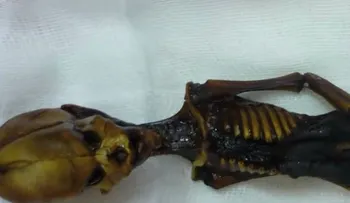 ¿Cuál es la verdad acerca del Alien de Atacama?