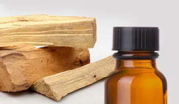 7 usos del aceite esencial de palo santo que te maravillarán
