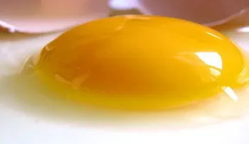La vitamina que nos protege de los cuatro tipos de cáncer: mama, próstata, colon y piel. ESTÁS TOMANDOLA?â?¦