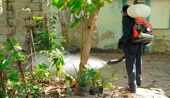 Salud amplía jornada contra el Aedes aegypti
