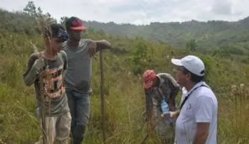 Voluntariado Bancentraliano realiza cuarta jornada de reforestación en el río Ozama