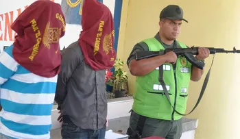 Detienen producción de 