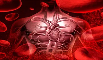 Famosa receta limpiadora de sangre: 2 ingredientes que reducen colesterol