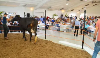 Banco Agrícola dispone facilidades de inversión durante la Feria Agropecuaria Nacional 2022