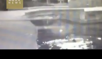 Caminar distraída con el celular le costó la vida a esta mujer