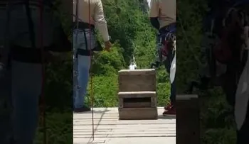 La vice Margarita se anota al turismo de aventura y se lanza en un â??ziplaneâ?