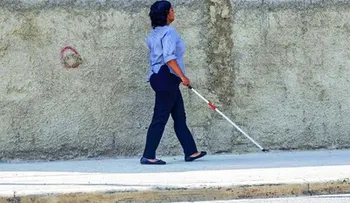 Costo de la educación inclusiva para estudiantes con necesidades específicas