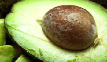 Conoce 3 trucos caseros para madurar aguacate rápidamente