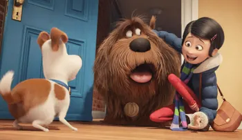 Filme The Secret Life of Pets 8221; tendrá una secuela en 2018