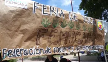Realizan Feria de la Yuca en Moca