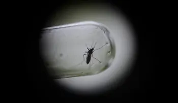 Venezuela agobiada por el dengue, la malaria y el chicunguña