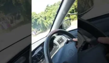 Un reptil aterroriza a los ocupantes de un vehículo