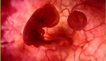 Relator de la ONU sobre salud pide a Paraguay despenalizar el aborto