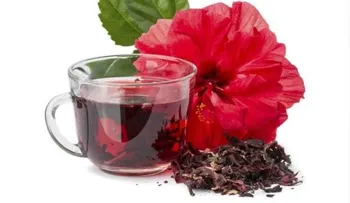 Hibiscus: una flor con grandes beneficios para la salud