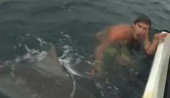 Video: se defiende del ataque de un tiburón con una jaula para pájaros