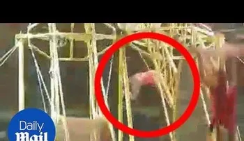 Escalofriante momento cuando acróbata colombiano cae desde una altura de 9 metros