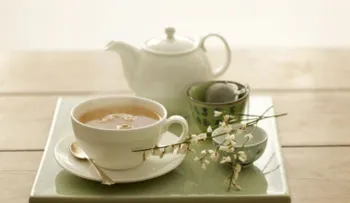 Conoce sus beneficios y baja de peso con té blanco