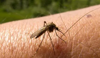 Más de 180 científicos acelerarán investigaciones para erradicar la malaria 