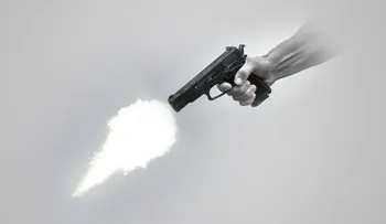 ¿Los violentos nacen o se hacen? Biólogos españoles lo descubren
