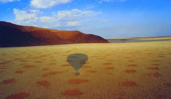 Los círculos de hadas en Namibia, ¿se resolvió uno de los grandes misterios de la naturaleza?