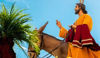 Otro domingo de Ramos que marca inicio de Semana Santa; con coronavirus 