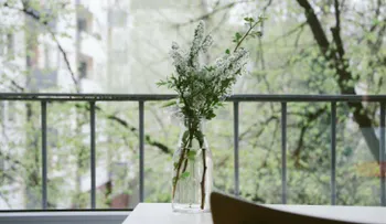 Cómo limpiar vidrio en casa