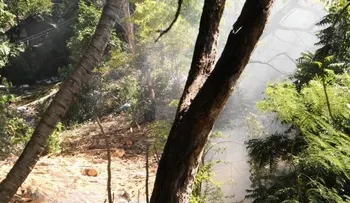 En sector de Barahona se quejan por contaminación provoca quema de aserrín
