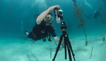 Toman vistas en 360 de arrecifes y vida submarina 