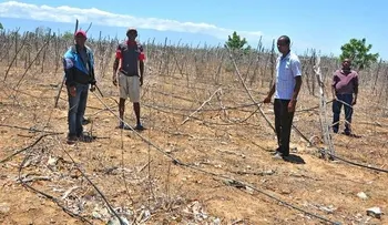 Pocos rubros del agro se salvan de efectos de sequía