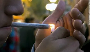 ¿Podría ser un negocio de marihuana el camino para un buen retiro?