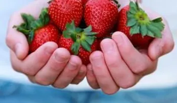Cómo tratar el eccema con fresas