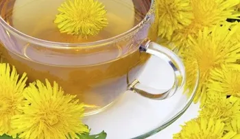 3 Infusiones naturales para fortalecer el páncreas