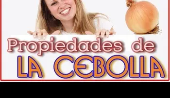 La cebolla regula el azúcar en la sangre y controla la diabetes; conoce sus múltiples propiedades 