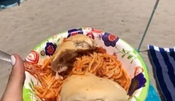 Especialista: "No comas pan con espaguetis en la playa"