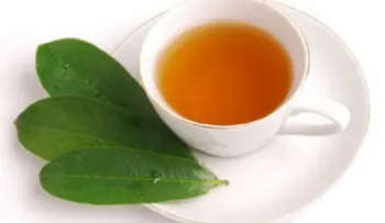 Cómo preparar un té de hojas guanábana para perder peso
